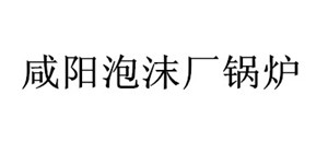 咸陽(yáng)泡沫廠鍋爐